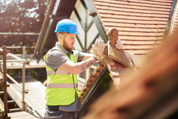 Best Roof Gutter Cleaning  in Estill, SC